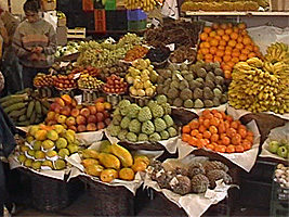 Mercado dos Lavradores